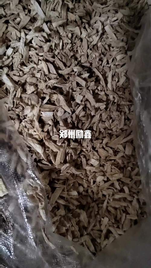 生姜研磨成粉可以泡茶不